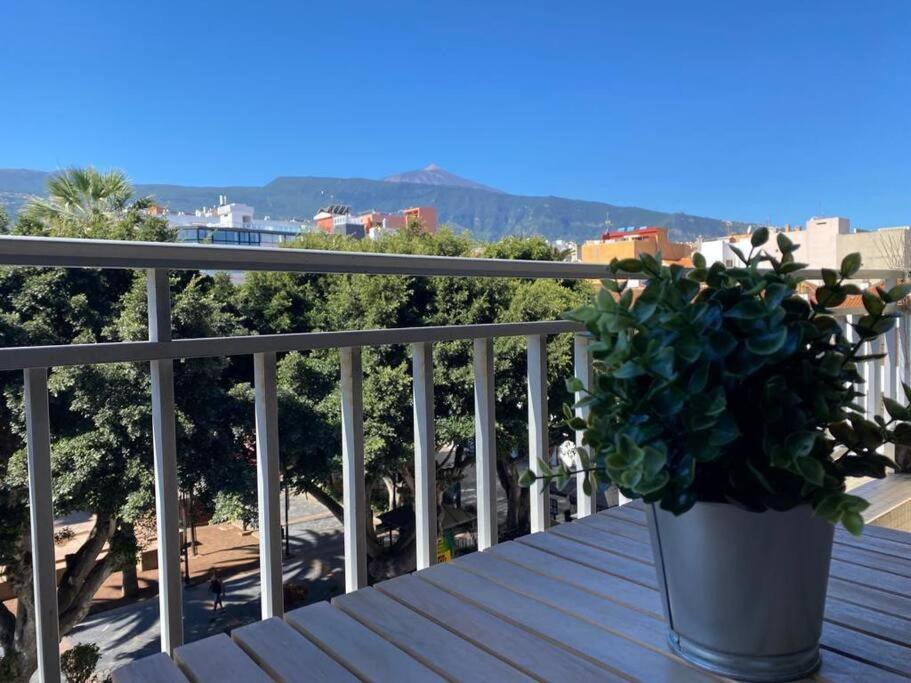 Precioso Y Amplio Estudio En Plaza Del Charco Puerto de la Cruz  Exteriör bild